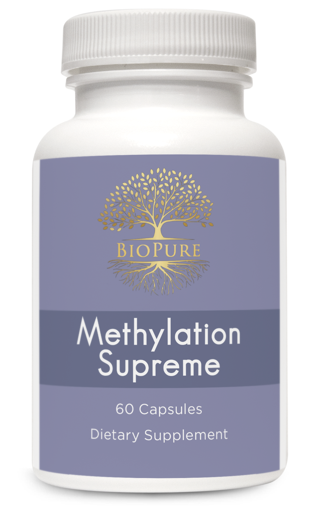 Methylation Supreme